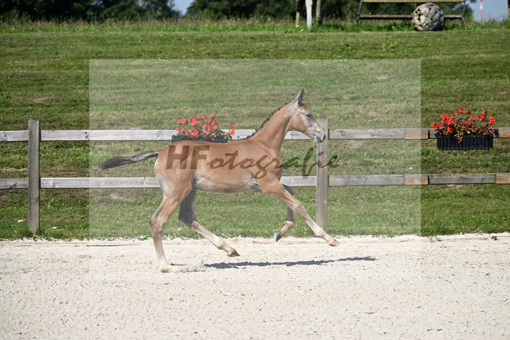 Kat-Nr. 5 Arezzo Man x Araconit_HF_Mayer_24250081 | hf-fotografie - Realizzato con Pictrs.com