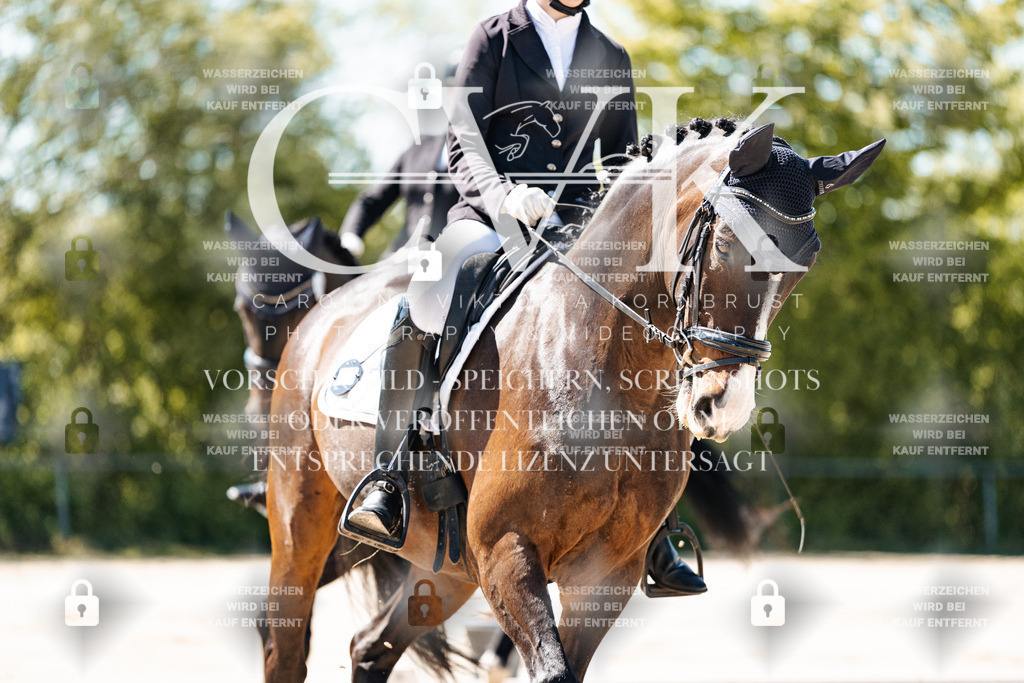 CK905039 | Turnierfotografie Pferdefotografie Trier Rheinland-Pfalz Pferdesport Reitsport Tierfotografie Sportfotografie Pferdevideo Pferdevideografie Equestrianvideography equestrianphotography  - Realisiert mit Pictrs.com