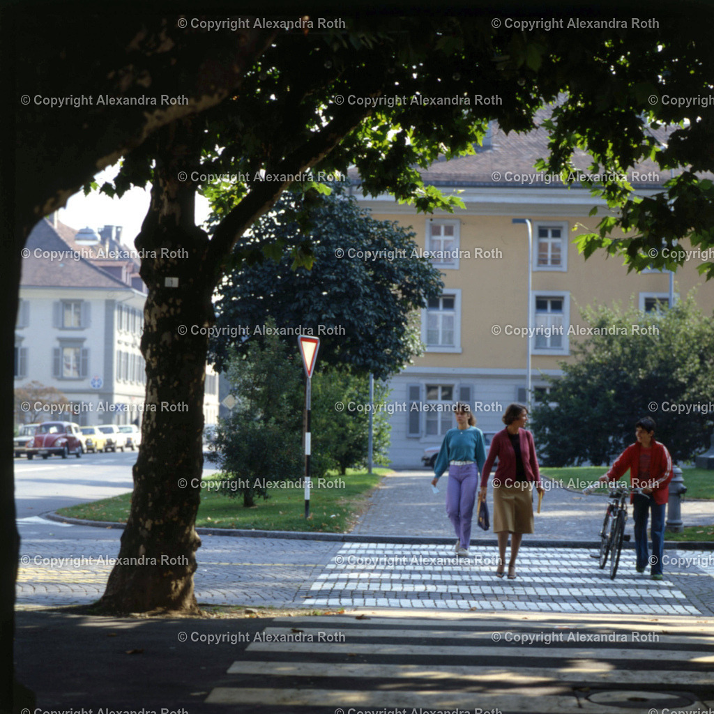 Aarau_726 | onlineshop - Realisiert mit Pictrs.com