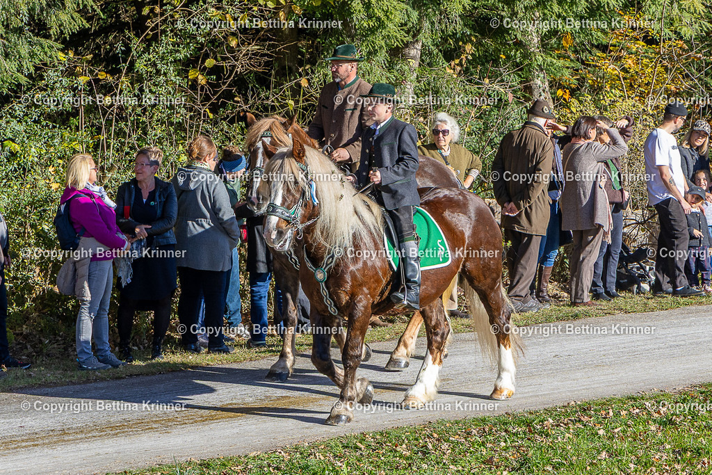 LBT25-821 | foto-bettina-krinner - Realisiert mit Pictrs.com