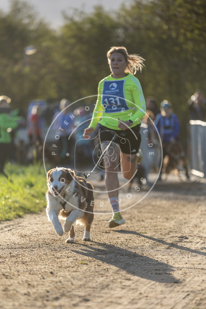 Pfotenfotografie.de_DV3A2879 | Hundefotografie, Tierfotograf, Pfotenfotografie, Fotoshooting Hund, Hunde Portrait, Hundesport, Hundeportraits, Heideshooting, Hunde, Sportfotograf, Hundefotograf, Turnierhundsport, THS, canicross - Realisiert mit Pictrs.com