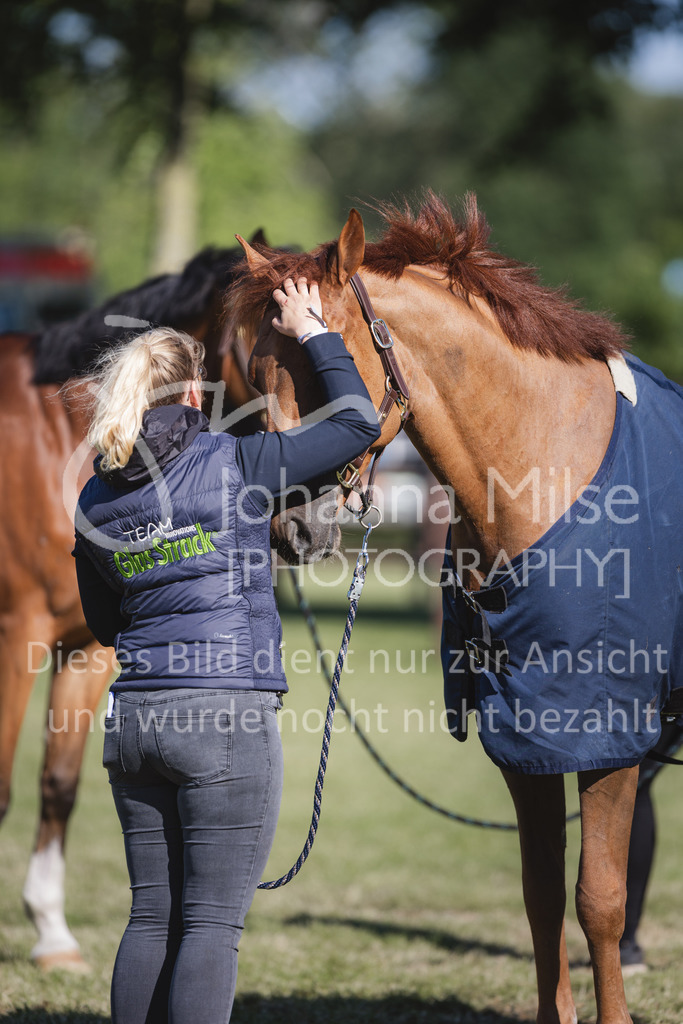 220603_CSI-Wohlde_Chillen-24 | Oerlinghausen Währentrup 26.08.2021, Stilspringprüfung Kl.A*