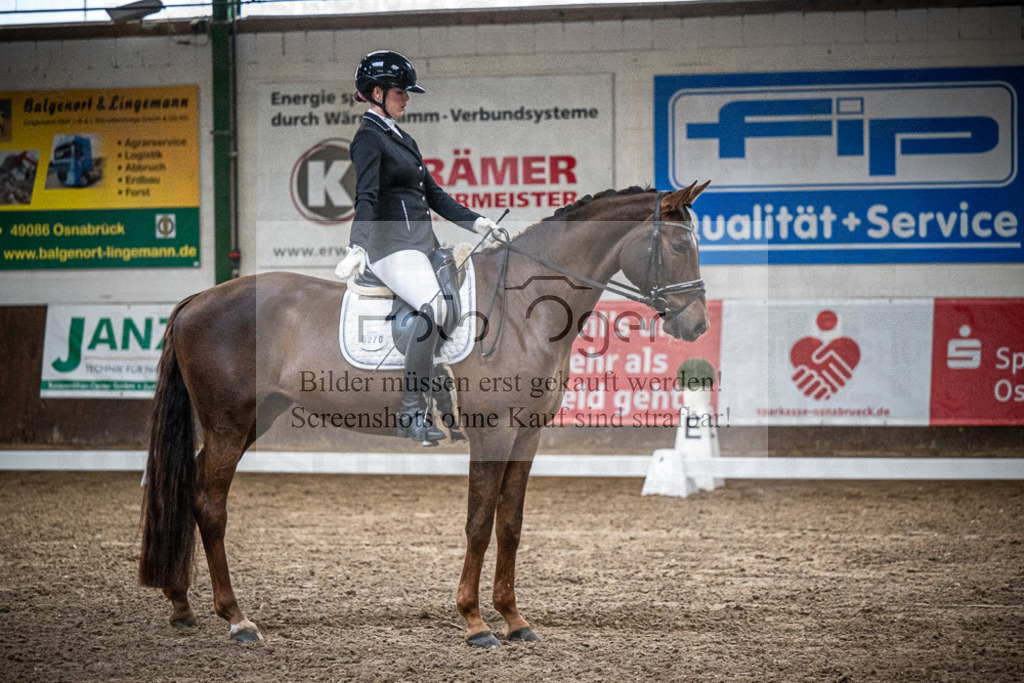 DOS_1157 | Entdecke hochwertige Reitturnierfotos von Foto Oger. Professionell, emotional und authentisch – jetzt Lieblingsmomente im Shop bestellen.Deutschlandweite Turnierfotografie. - Realisiert mit Pictrs.com