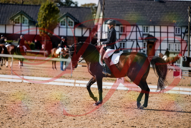 2026_10_03_Siefer-Hof_133639_Z63_97263935 | Professionelle Reitsport-, Turnier- und Eventfotografie von Robert Broda. Galerien mit ausgewählten und bearbeiteten Bildern direkt online ansehen und bestellen.