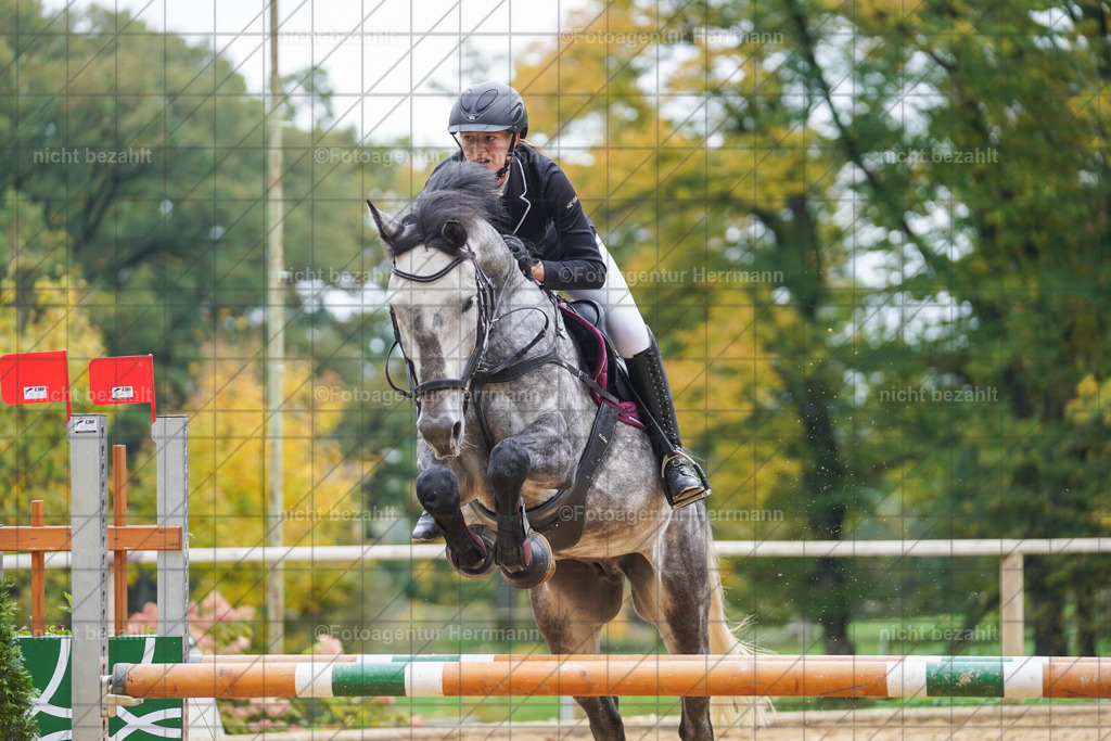 20221009-FAH08887 | Diessen am Ammersee, 2022, Dressur- und Springturnier, Reitsportbilder, Turnierfotografen Bayern, Pferdefotografen, Fotoagentur Herrmann, Turnierbilder