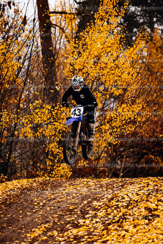 E68A4232 | blick_win_kel