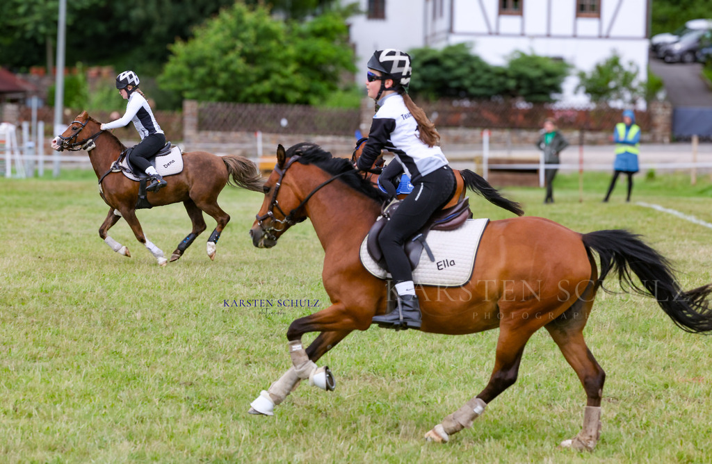 1B3A1396 | Reitsport Reiten