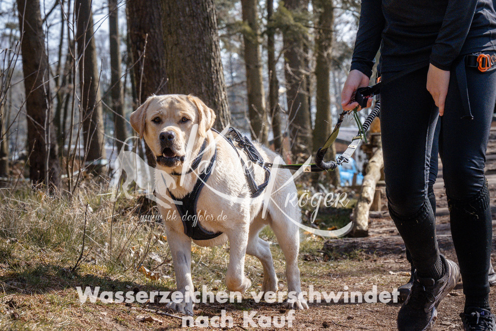 1400_ZZ96875 | kk-dogfotos