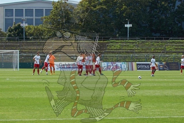 BFC Dynamo vs. ZFC Meuselwitz 031 | mythos-online-redaktion