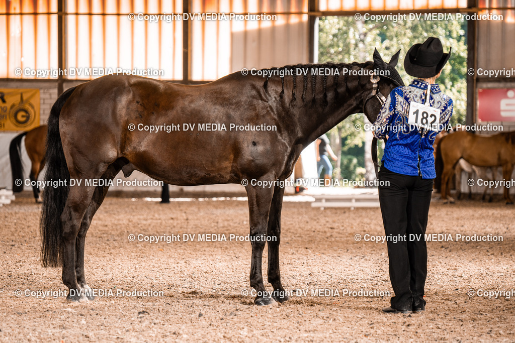 ZH100030 | dv-media-shop - Realisiert mit Pictrs.com