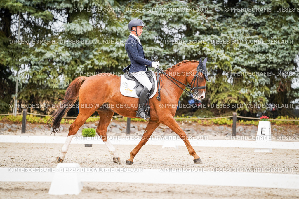 DSC07007 | Pferdegrafie