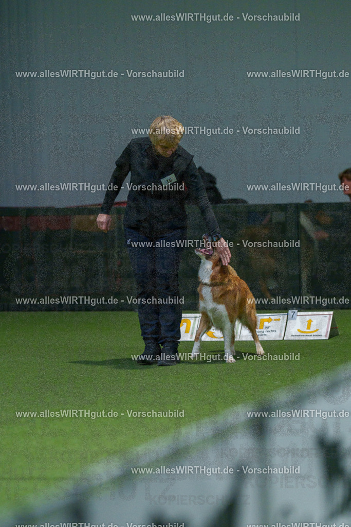 7R505463 | Professionelle Tierfotografie in Mönchengladbach von Daniel Wirth (allesWIRTHgut). Liebevolle & natürliche Bilder von Hunden & Katzen für unvergessliche Erinnerungen.