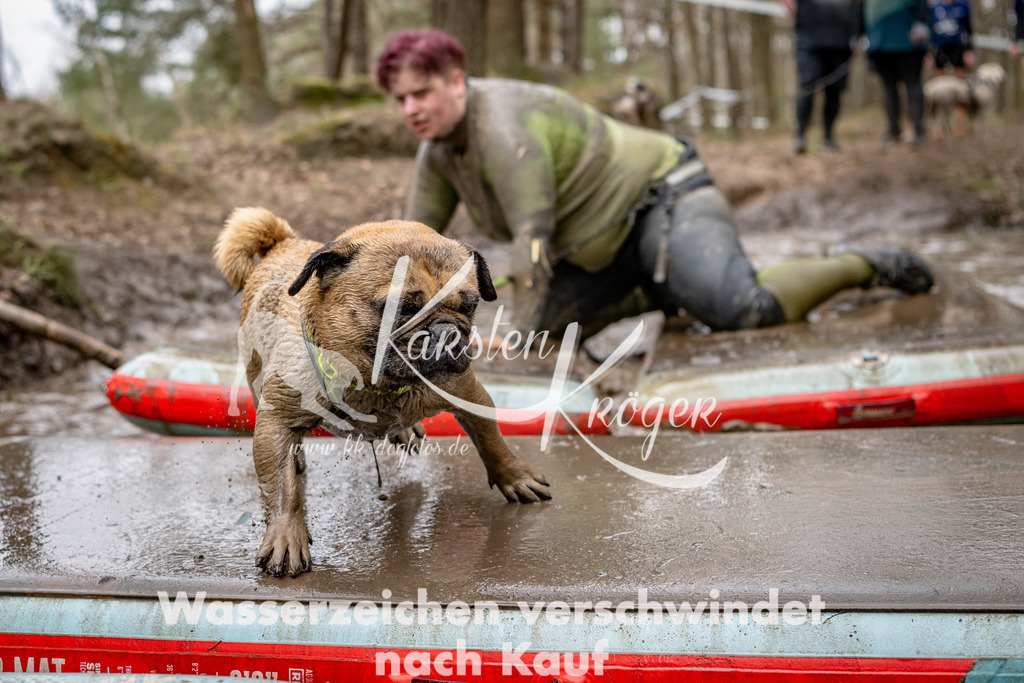 1216DSC_5586 | kk-dogfotos
