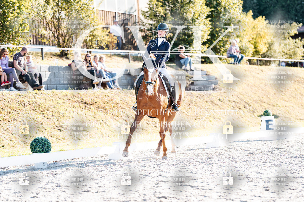 CK906856 | Turnierfotografie Pferdefotografie Trier Rheinland-Pfalz Pferdesport Reitsport Tierfotografie Sportfotografie Pferdevideo Pferdevideografie Equestrianvideography equestrianphotography  - Realisiert mit Pictrs.com