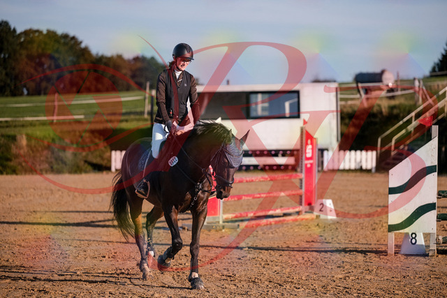 2026_10_03_Siefer-Hof_172000_Z81_17858725 | Professionelle Reitsport-, Turnier- und Eventfotografie von Robert Broda. Galerien mit ausgewählten und bearbeiteten Bildern direkt online ansehen und bestellen.