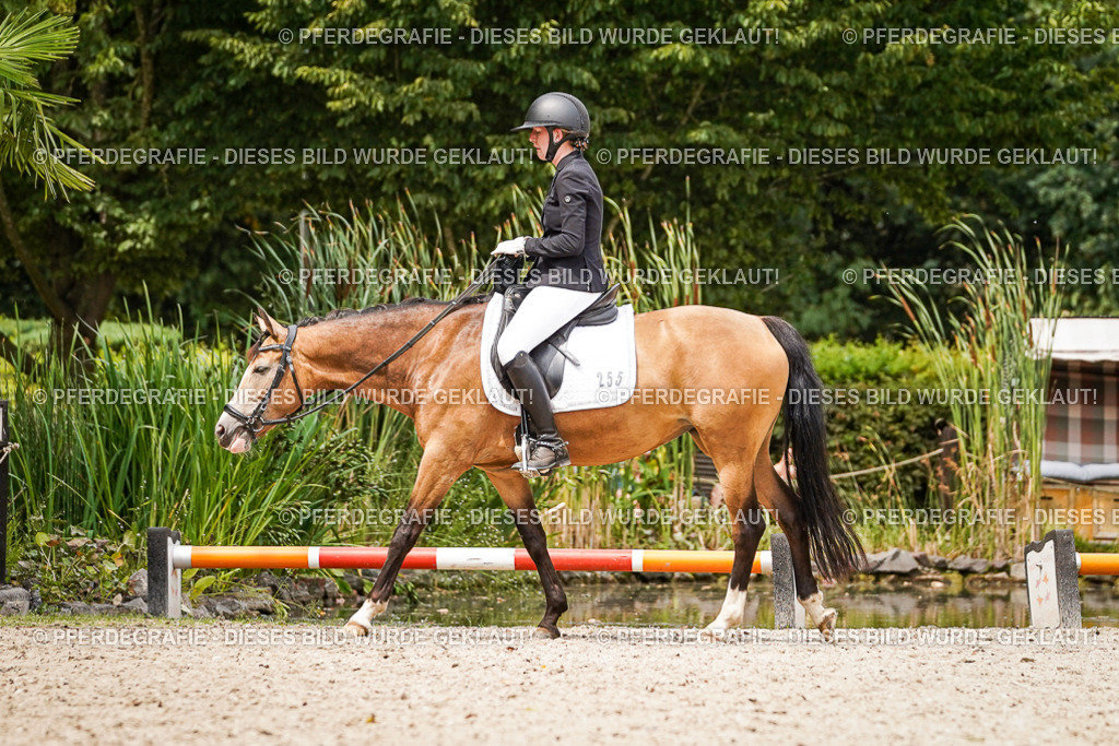 DSC04510 | Pferdegrafie