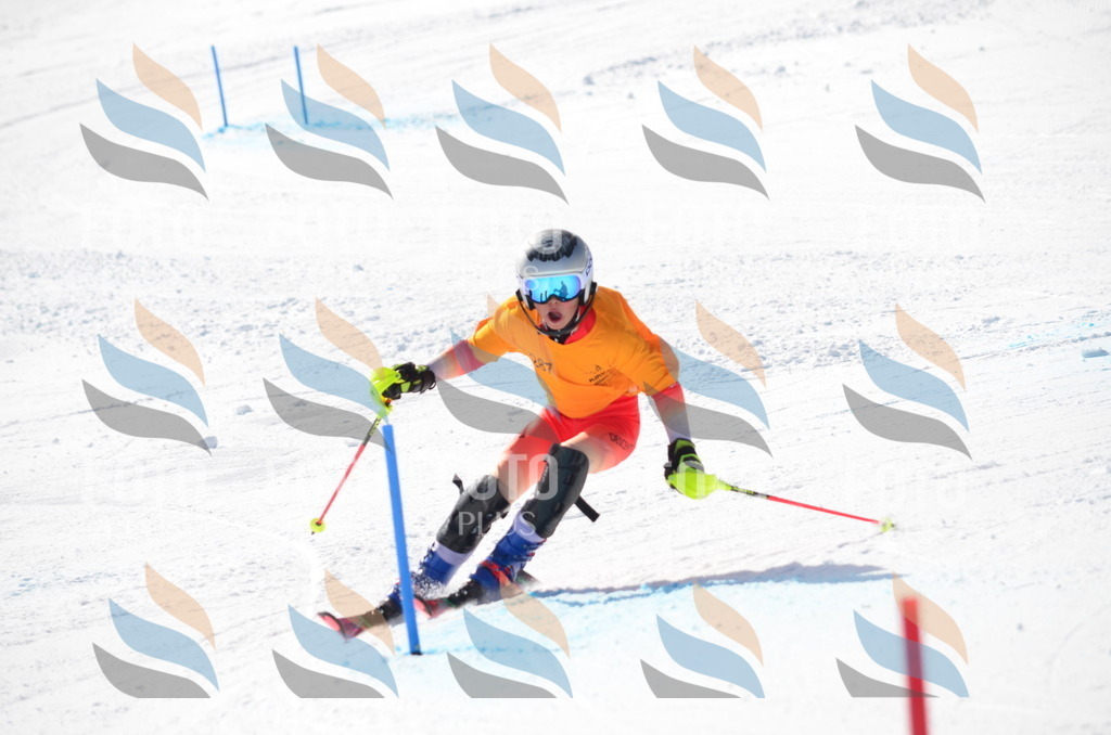 C8675 | holidayphoto