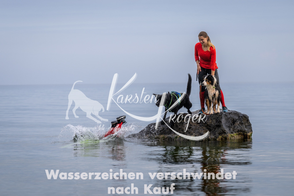 1217_ZZ90745 | kk-dogfotos