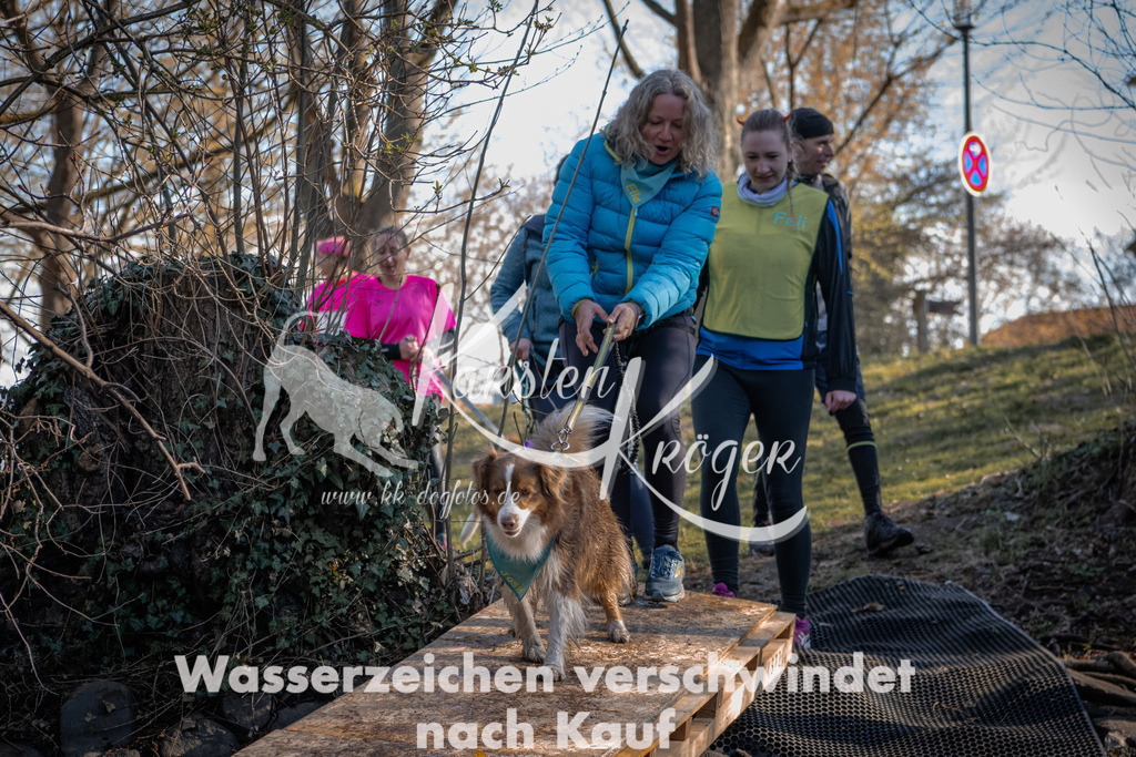 0828_ZZ91205 | kk-dogfotos