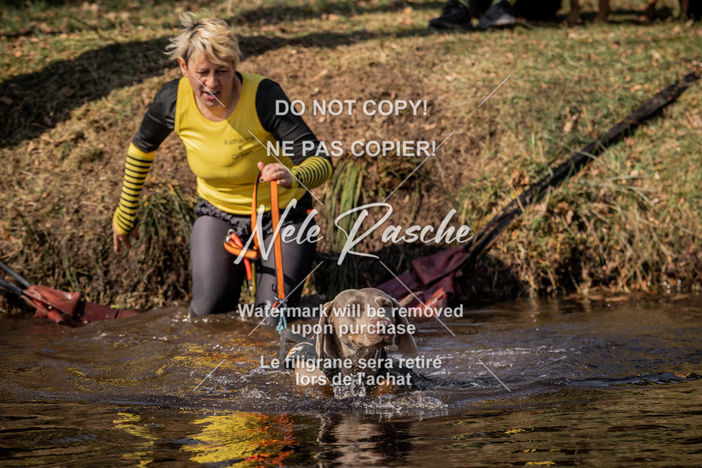 nelerasche_FS1300-1330_378 | nelerasche