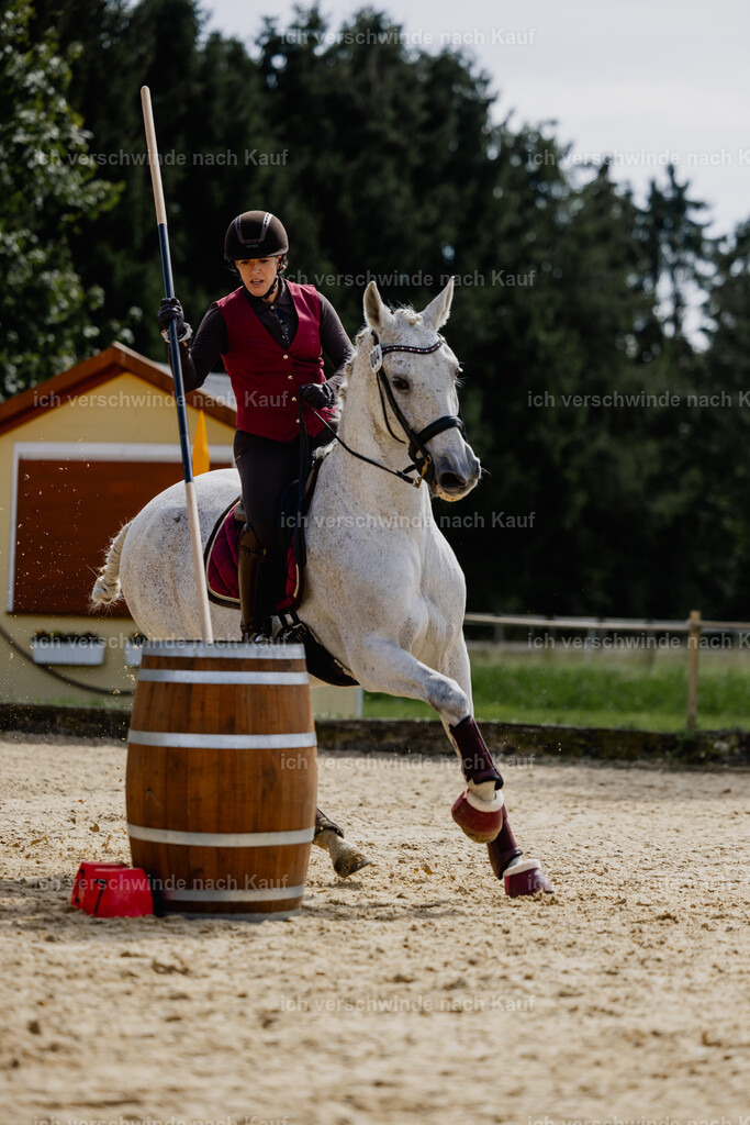 Kelly4_FHC2025-20300 | working equitationturnier fotograf videograf stoibphotography marixx film working equitation deutschland reitsport turnierfotografie eventfotografie equestrian events