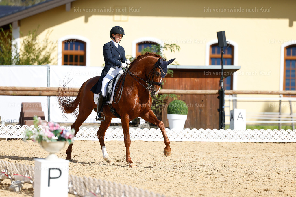 09_2-223-DRESSUR  S_  -StoibPH-5795 | working equitationturnier fotograf videograf stoibphotography marixx film working equitation deutschland reitsport turnierfotografie eventfotografie equestrian events