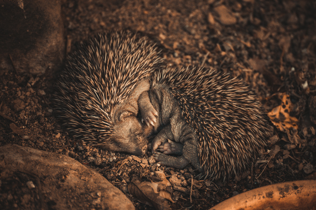 0C759EFD-5E78-4621-9FCC-F80C281A6364 | <meta name="keywords" content="Bergbilder, Hochzeitsfotografie, Actionshootings, Fotografiearbeiten, Berglandschaften, Naturfotografie">

 - Realisiert mit Pictrs.com