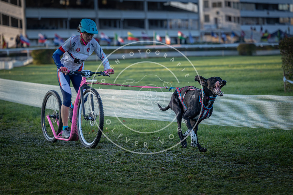 CaniXpix_0L8A1876 | Hundefotografie, Tierfotograf, Pfotenfotografie, Fotoshooting Hund, Hunde Portrait, Hundesport, Hundeportraits, Heideshooting, Hunde, Sportfotograf, Hundefotograf, Turnierhundsport, THS,  - Realisiert mit Pictrs.com