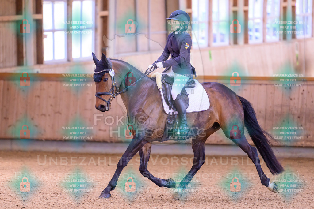 11042026-Mammendorf-Prfg27-0141 | Fokus Hufschlag Fotografie - Realisiert mit Pictrs.com