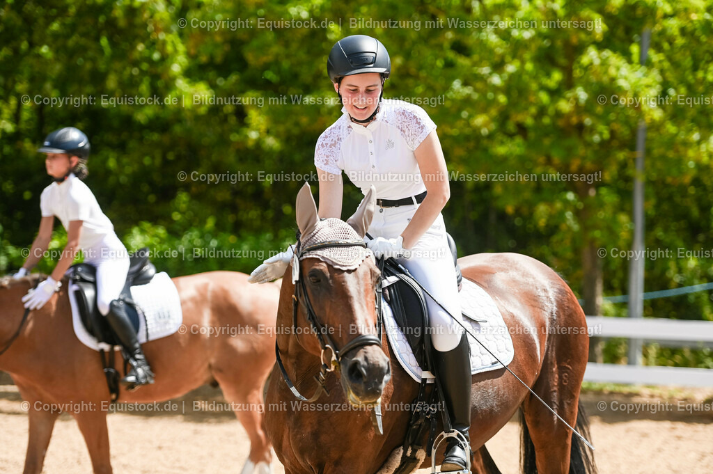 20230715_09_Dressur-WB_0299 | equistock