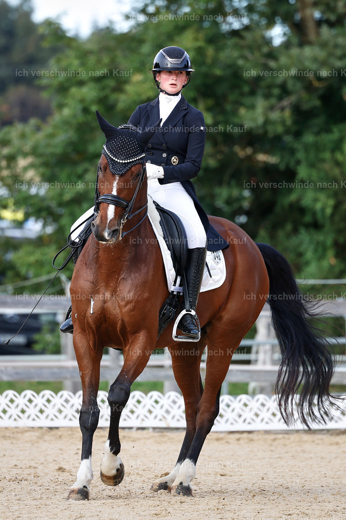 13-048-S___ -StoibPH-6972 | working equitationturnier fotograf videograf stoibphotography marixx film working equitation deutschland reitsport turnierfotografie eventfotografie equestrian events