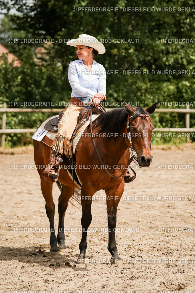 DSC00622 | Pferdegrafie