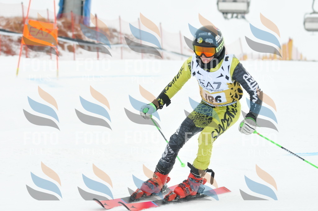 DSC_8714 | holidayphoto