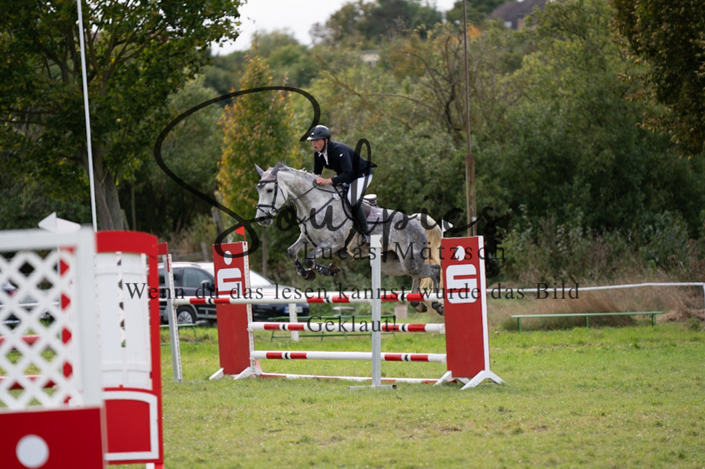 A7V07273 | Pferdefotograf