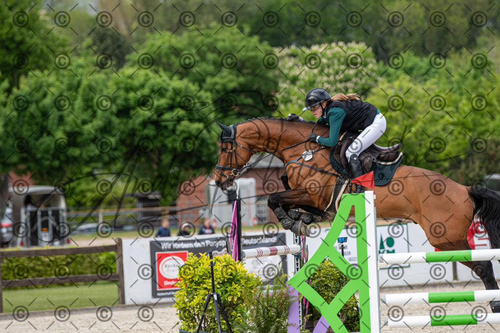 KPT_0242 | andre_photographic