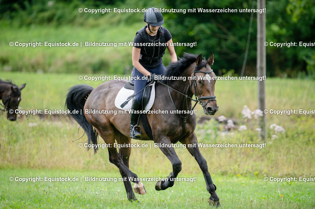 20250725_Vielseitigkeitslehrgang-Marbach_0121 | Foto: Thomas Hartig