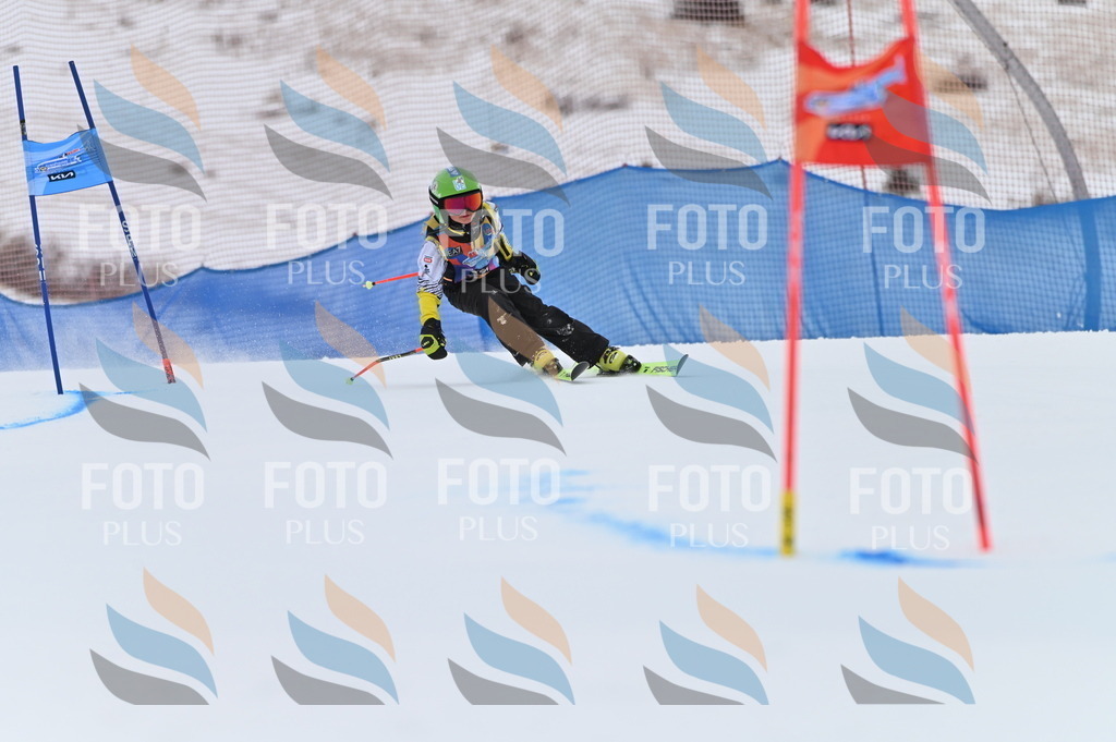 BGV_0576 | holidayphoto