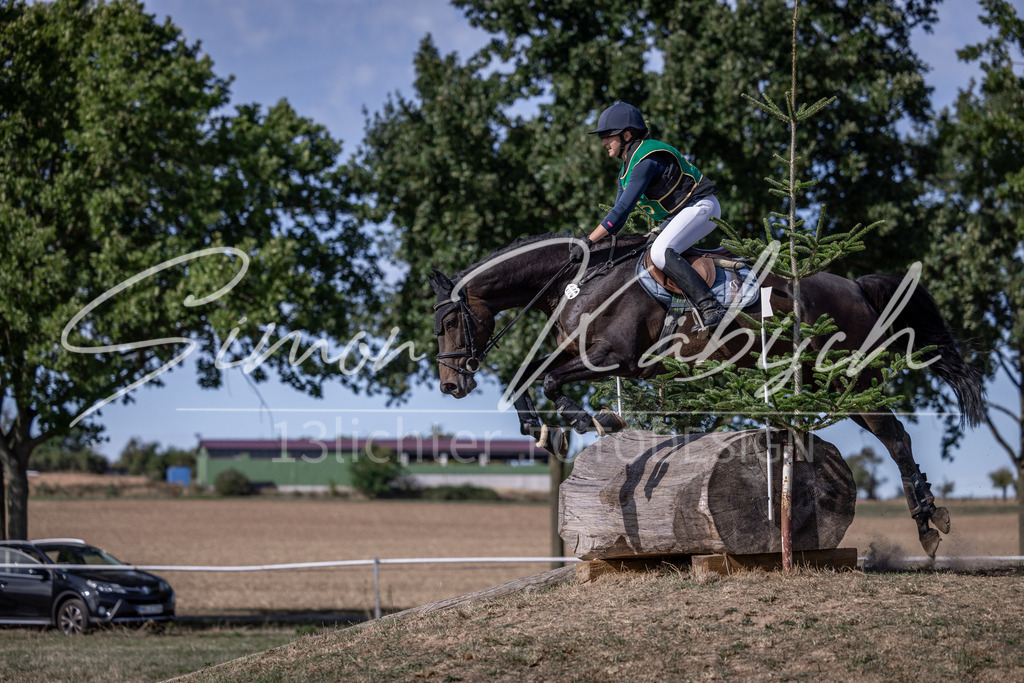 20260906-_3LI6359 | Tierfotografie Pferde, Hunde, Katzen, Haustiere.
Turnierfotografie Reitturniere, Reiten, Springreiten, Dressur in Hanau, dem Main-Kinzig-Kreis und dem Rhein-Main- Gebiet um Frankfurt