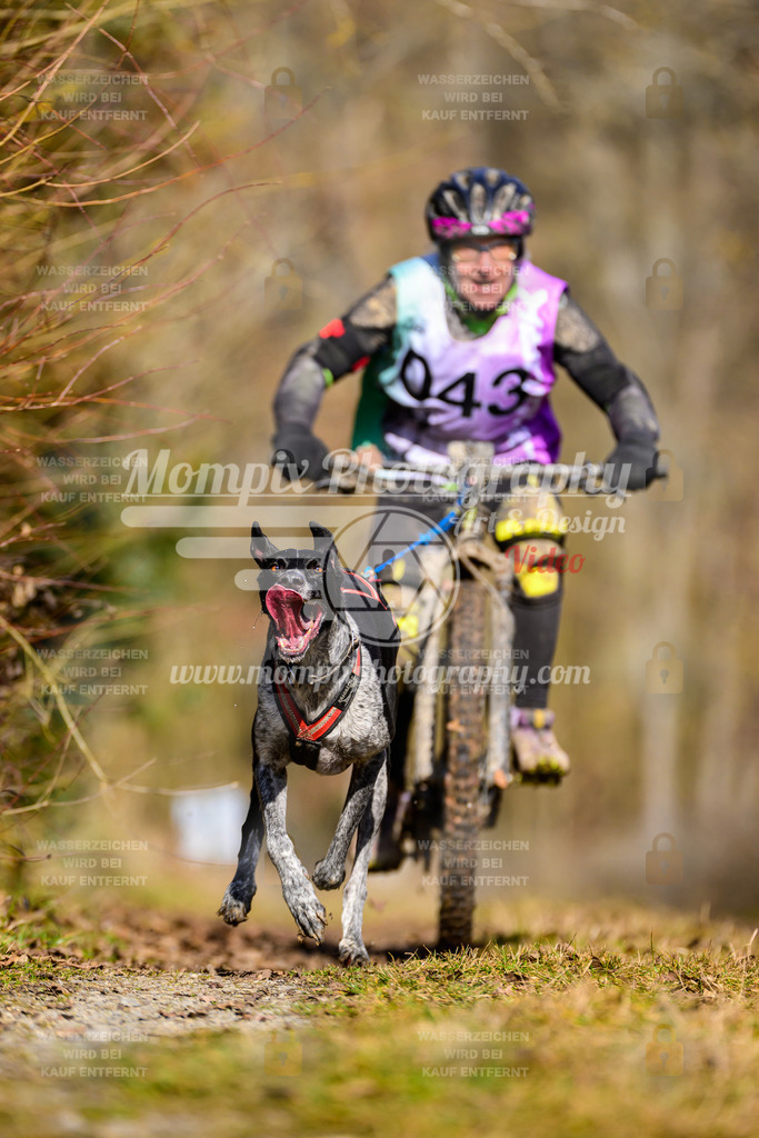 MompixPhotography_Schwabentrail2025_SO_Bike-62 | PayLife
