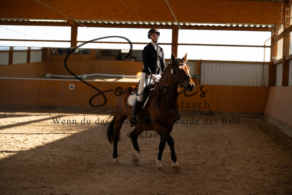 A7V01761 | Turnier/Reitfotograf