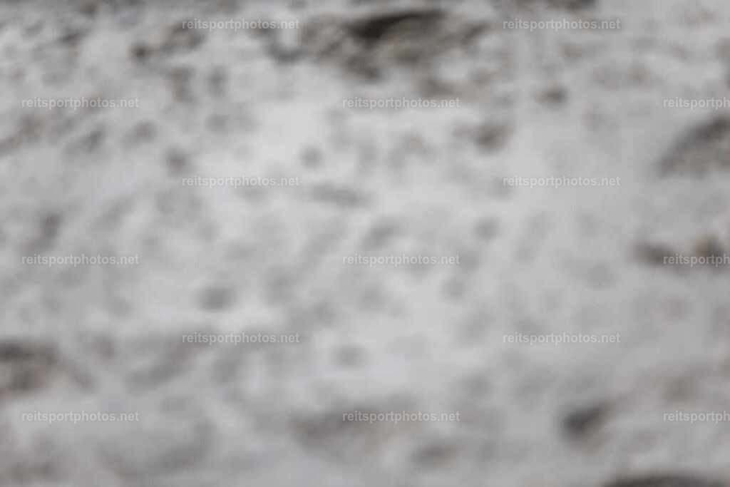 JoYaR3_Heidehof_00310 | JoYa Fotografie - Realisiert mit Pictrs.com
