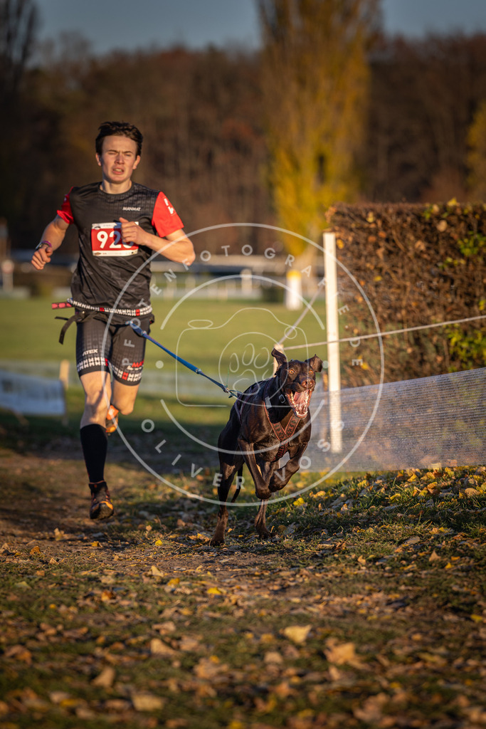 CaniXpix_DV3A4919 | Hundefotografie, Tierfotograf, Pfotenfotografie, Fotoshooting Hund, Hunde Portrait, Hundesport, Hundeportraits, Heideshooting, Hunde, Sportfotograf, Hundefotograf, Turnierhundsport, THS,  - Realisiert mit Pictrs.com