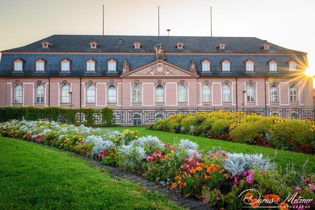 DSC_6943 | Fotografien, Fotos und Bilder aus Mainz, Frankfurt, Wiesbaden und anderen Orten auf der Welt - Fotografiert von Darius Metzner