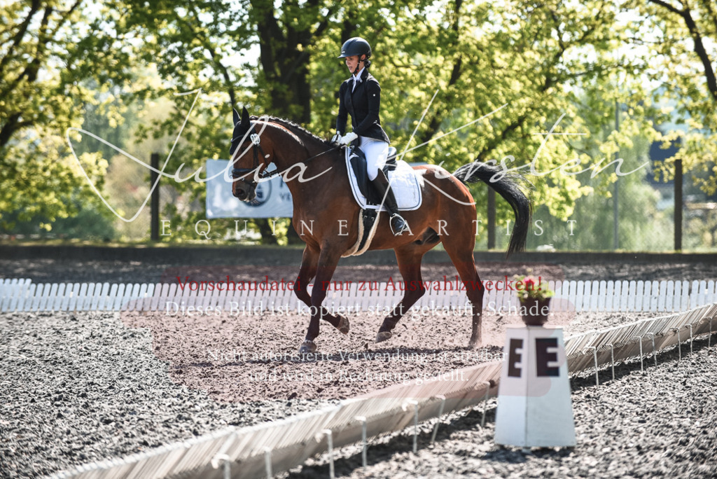 DSC_8933 | Pferde- und Turnierfotografie in Westsachsen. Pferdeportraits, Auftragszeichnungen und intuitive Kunst.