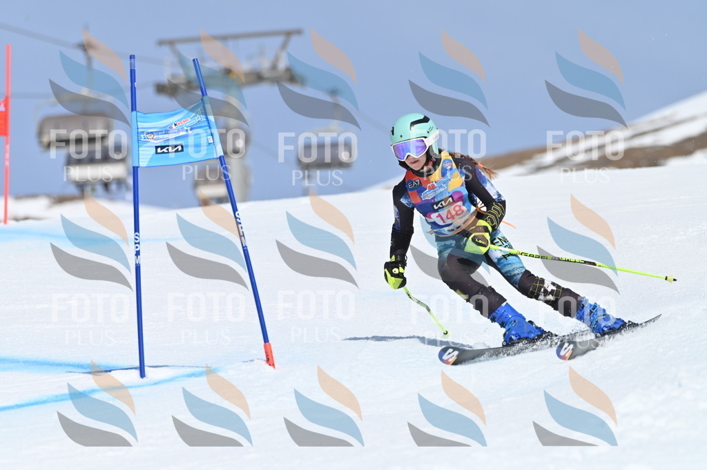 BGV_0011 | holidayphoto