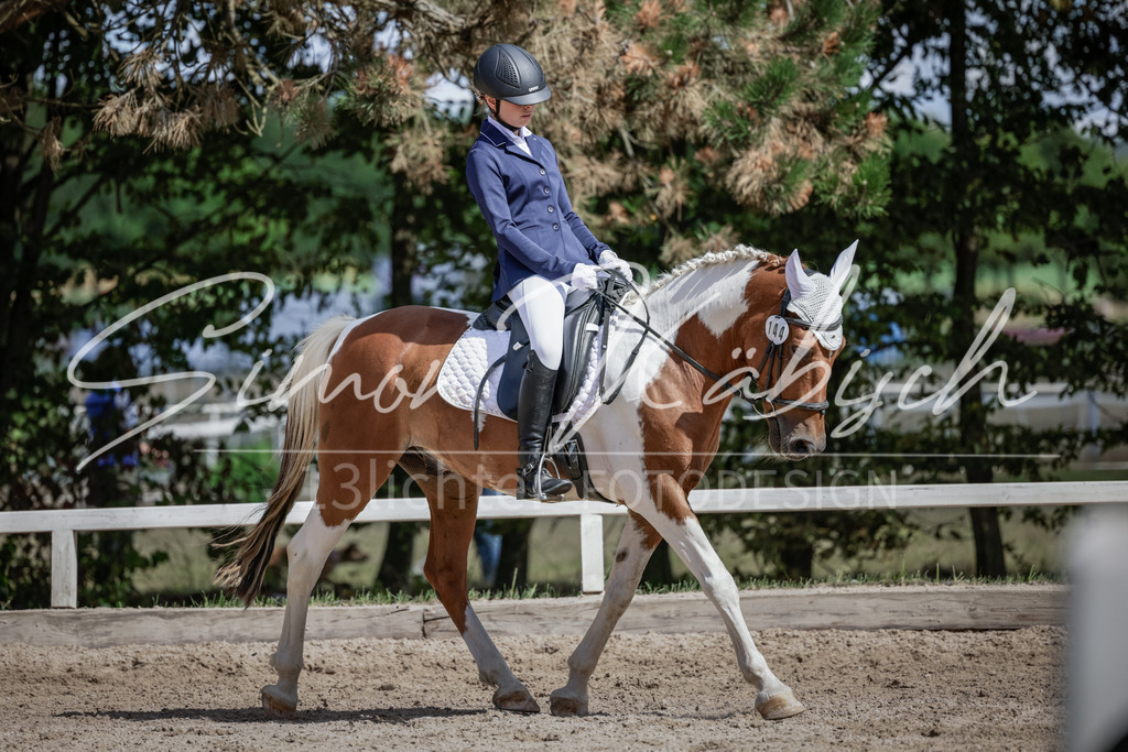 20250906-_3LI5432 | Tierfotografie Pferde, Hunde, Katzen, Haustiere.
Turnierfotografie Reitturniere, Reiten, Springreiten, Dressur in Hanau, dem Main-Kinzig-Kreis und dem Rhein-Main- Gebiet um Frankfurt