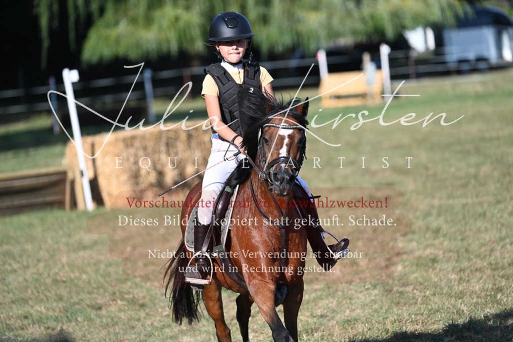 DSC_8973 | Pferde- und Turnierfotografie in Westsachsen. Pferdeportraits, Auftragszeichnungen und intuitive Kunst.