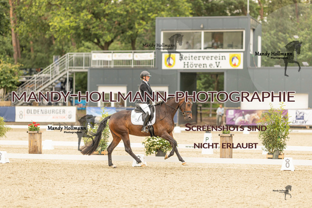 SW 4-602 | mandyhollmannphotographie