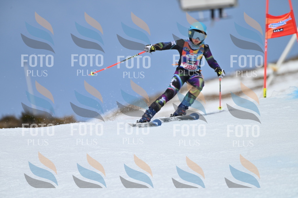 BGV_2564 | holidayphoto