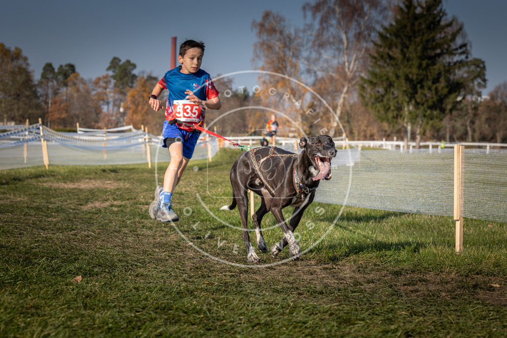 CaniXpix_0L8A8896 | Hundefotografie, Tierfotograf, Pfotenfotografie, Fotoshooting Hund, Hunde Portrait, Hundesport, Hundeportraits, Heideshooting, Hunde, Sportfotograf, Hundefotograf, Turnierhundsport, THS,  - Realisiert mit Pictrs.com